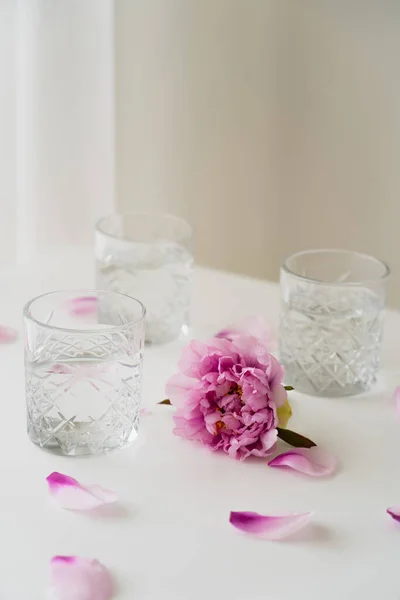 Pink peony and floral petals near glasses with fresh water on grey background — Stock Photo