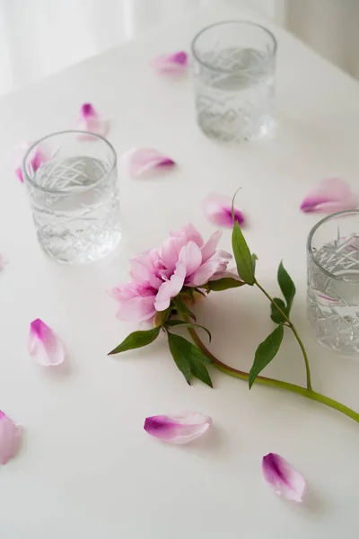 Visão de alto ângulo de peônia rosa e óculos com água na mesa branca — Fotografia de Stock