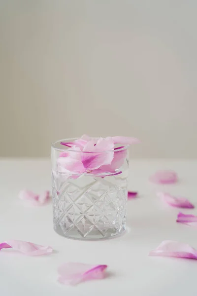 Vidrio transparente con gin tonic y pétalos florales sobre superficie blanca aislada sobre gris - foto de stock