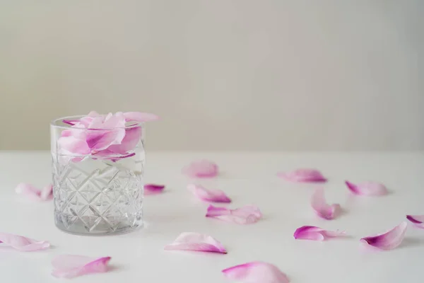 Faceted glass of gin tonic with floral petals on white surface isolated on grey — Stock Photo