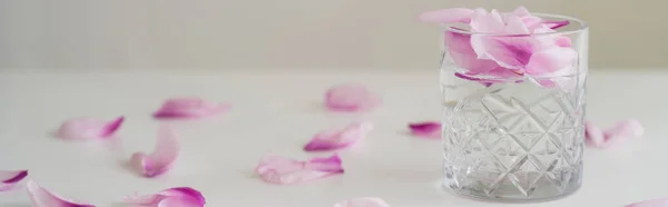Vetro sfaccettato con tonico e petali su superficie bianca isolati su grigio, banner — Foto stock