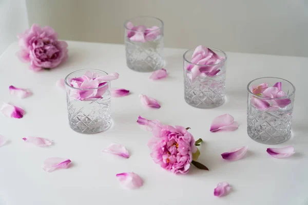 Очки с тонизирующими и цветочными лепестками рядом с розовыми пионами на белом столешнице и сером фоне — стоковое фото