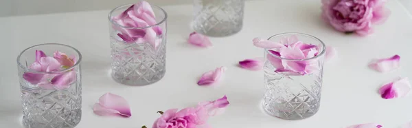 Gafas facetadas con refrescantes pétalos florales tónicos y rosados en la superficie blanca, pancarta - foto de stock