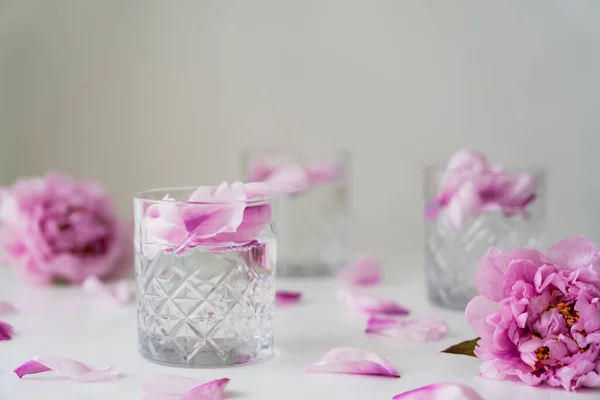 Peonías y vasos rosados con tónico y pétalos sobre superficie blanca aislados sobre gris - foto de stock