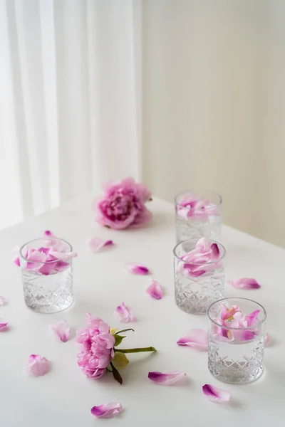 Gläser mit Tonikum und Blütenblättern in der Nähe von rosa Pfingstrosen auf weißer Tischplatte und grauem Hintergrund — Stockfoto