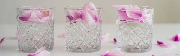 Crystal faceted glasses with gin tonic and petals on grey background, banner — Stock Photo