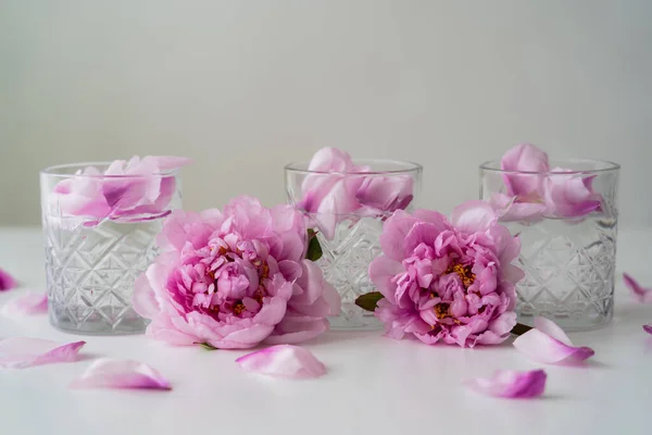 Pétales floraux et pivoines roses près des verres avec tonique sur la surface blanche isolé sur gris — Photo de stock