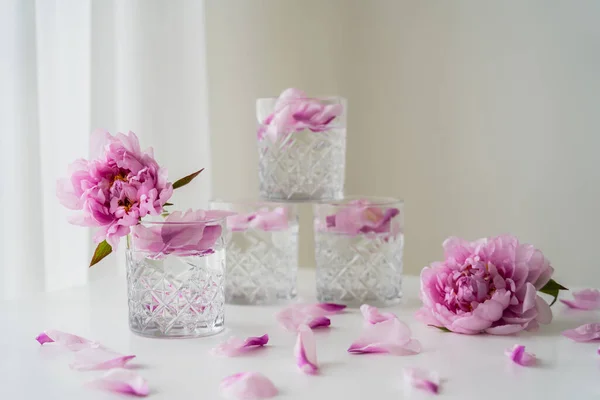 Óculos facetados com tónico perto peônias rosa na superfície branca e fundo cinza — Fotografia de Stock