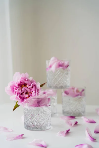 Verres à facettes avec pétales gin tonique et pivoine sur fond gris flou — Photo de stock