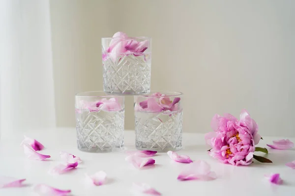Gläser mit Gin Tonic in der Nähe von rosa Pfingstrose und Blütenblättern auf weißer Oberfläche und grauem Hintergrund — Stockfoto