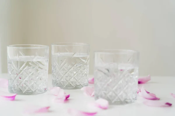 Glasses with facetted pattern and tonic near floral petals on white surface isolated on grey — Stock Photo