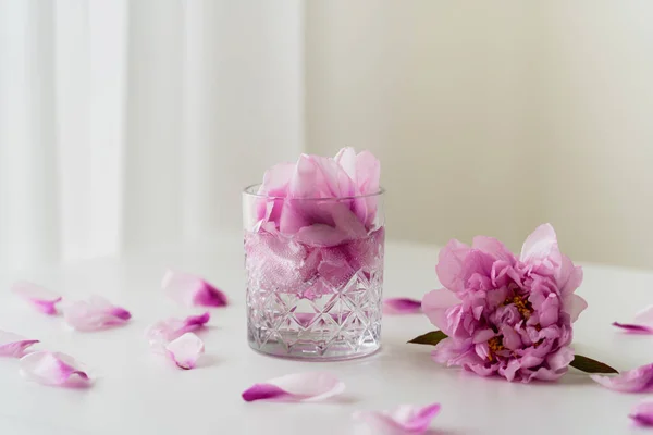 Verre à facettes avec tonique et pétales près de pivoine rose sur plateau blanc et fond gris — Photo de stock