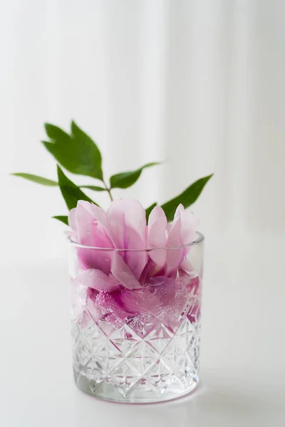 Vidro de cristal com pétalas florais rosa e folhas verdes em tônico sobre fundo branco — Fotografia de Stock