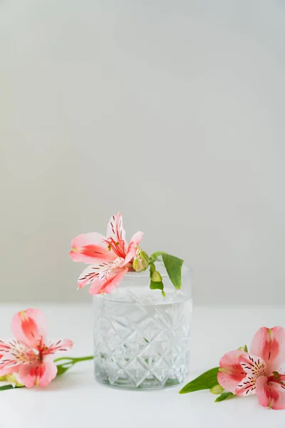 Vetro sfaccettato con acqua vicino fiori alstroemeria rosa su superficie bianca isolata su grigio — Foto stock