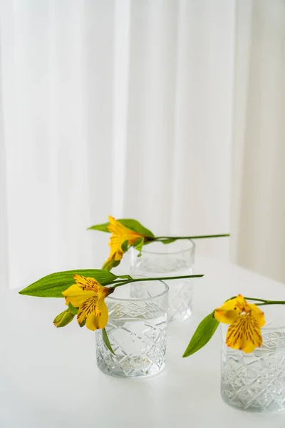 Gelbe Alstroemeria-Blüten auf Gläsern mit Wasser auf weißem Hintergrund mit Kopierraum — Stockfoto