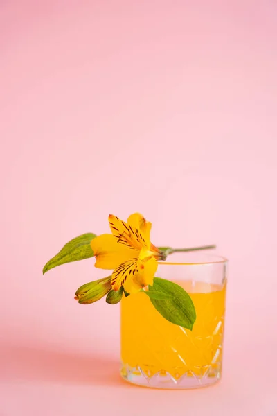 Yellow peruvian lily on glass with fresh citrus tonic on pink background — Stock Photo