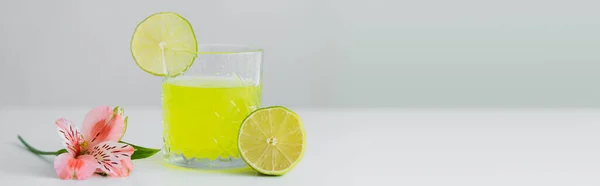 Verre avec boisson naturelle aux agrumes près de citron vert et rose fleur tropicale isolé sur gris, bannière — Photo de stock