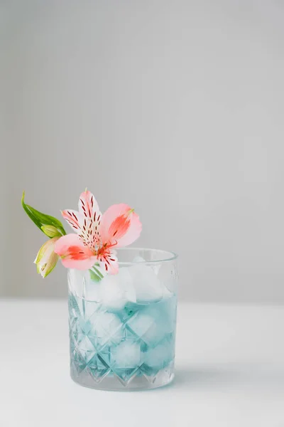 Pink alstroemeria flower in glass with iced tonic on white surface isolated on grey — Stock Photo