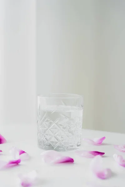 Pétales floraux près du verre avec de l'eau douce sur fond gris avec espace de copie — Photo de stock