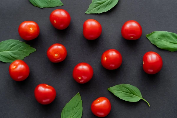 Vue de dessus des tomates cerises fraîches et des feuilles de basilic sur fond noir — Photo de stock