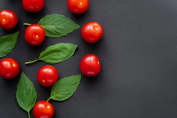 Top view of fresh basil and cherry tomatoes on black background — Stock Photo