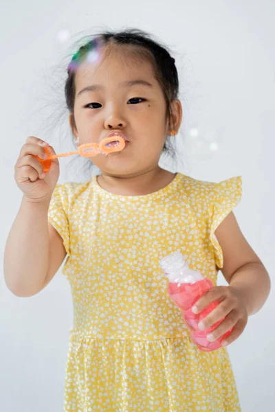 Preschooler asian girl in dress holding bottle and blowing soap bubbles isolated on grey — Stock Photo