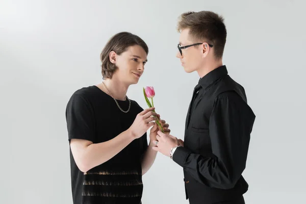 Young gay giving tulip to brunette boyfriend isolated on grey — Stock Photo