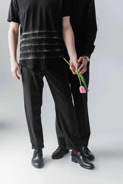 Cropped view of gay touching hand of boyfriend holding tulip on grey background — Stock Photo