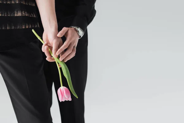 Cropped view of gay touching hand of boyfriend with pink tulip isolated on grey — Stock Photo