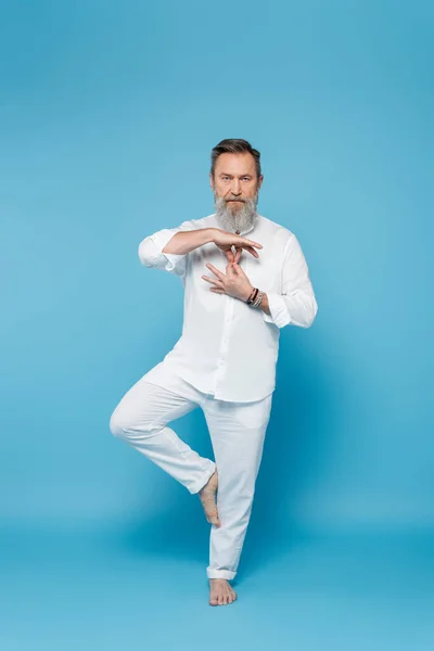 Yoga-Mentor zeigt Gyan Mudra beim Meditieren in Baumpose auf blauem Hintergrund — Stockfoto