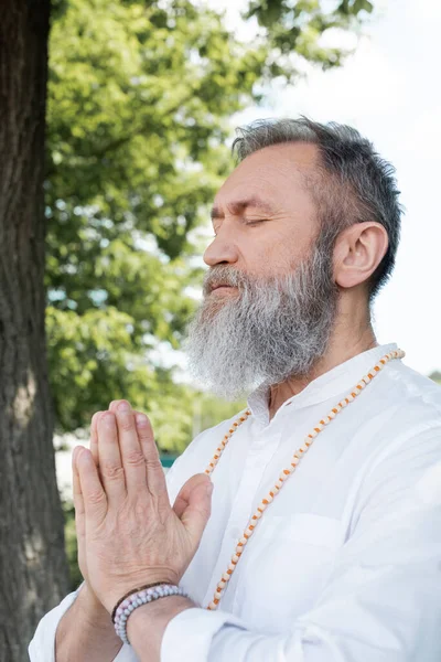 Guru mestre barbudo meditando com olhos fechados e mãos de oração ao ar livre — Fotografia de Stock