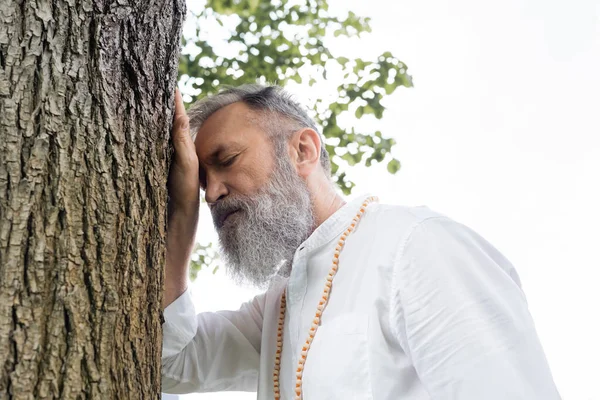 Vista de ángulo bajo del hombre gurú senior con barba gris meditando cerca del tronco del árbol con los ojos cerrados - foto de stock