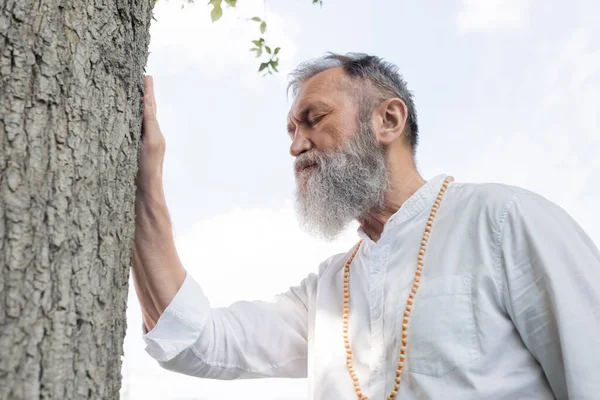 Mestre guru barbudo em camisa branca e contas tocando tronco de árvore enquanto meditava ao ar livre — Fotografia de Stock