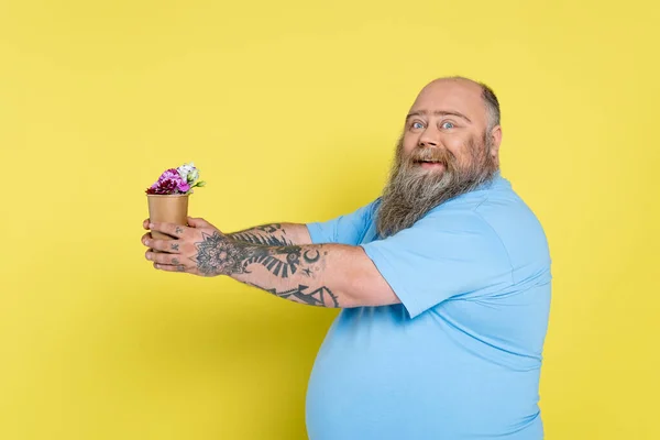 Homem feliz plus size com barba segurando copo de papel com flores isoladas no amarelo — Fotografia de Stock