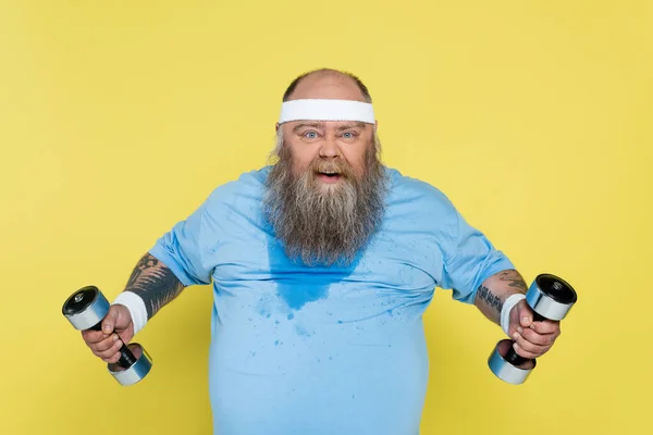 Sweaty plus size man grimacing at camera while exercising with heavy dumbbells isolated on yellow — Stock Photo