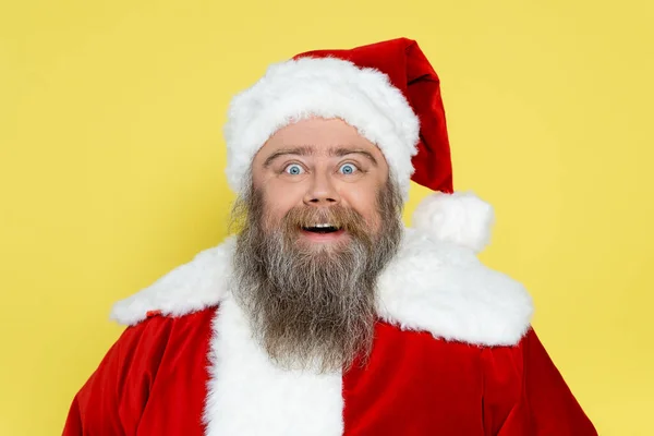 Excited and chubby santa claus with bulging eyes looking at camera isolated on yellow — Foto stock