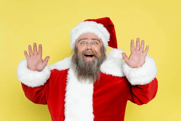 Étonné plus taille homme en costume de Noël agitant les mains isolées sur jaune — Photo de stock