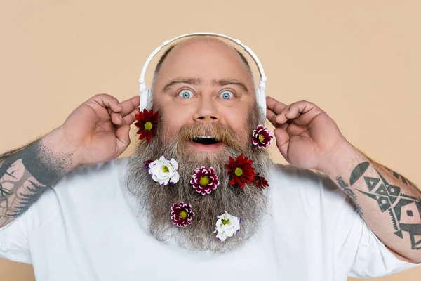 Erstaunt und pausbäckig Mann mit Blumen im Bart hört Musik isoliert auf beige — Stockfoto