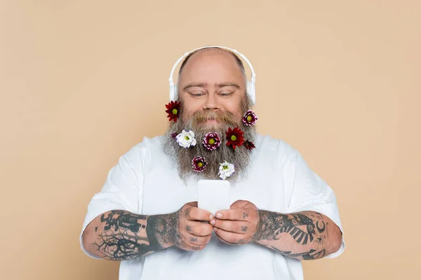 Plus size man with decorated beard and smartphone listening music in headphones isolated on beige — Stock Photo