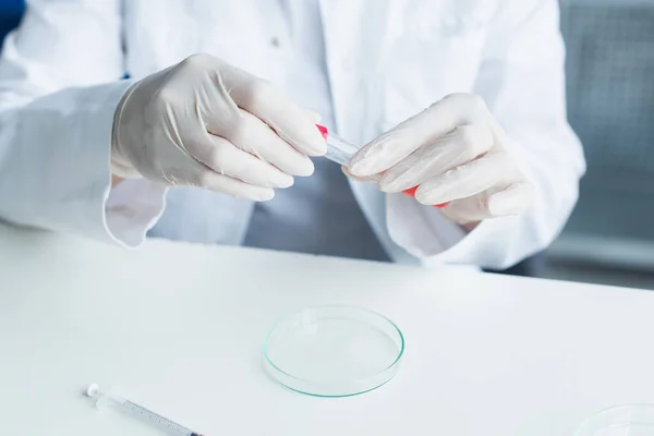 Обрезанный вид ученого в латексных перчатках, держащего пробирку возле чашки Петри в лаборатории — стоковое фото