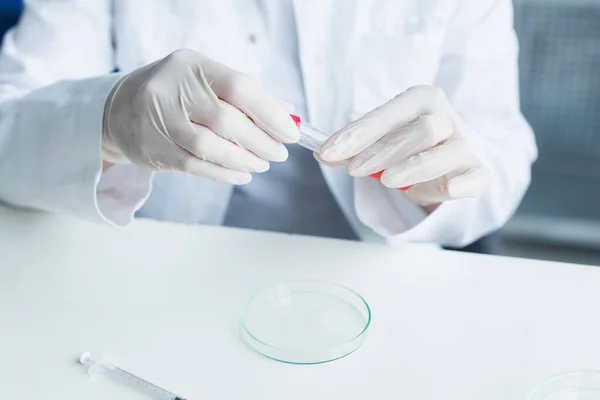 Cropped view of scientist in latex gloves holding test tube near petri dish in lab — стоковое фото