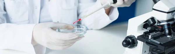 Cropped view of scientist holding pipette and and petri dish near microscope in lab, banner — Photo de stock