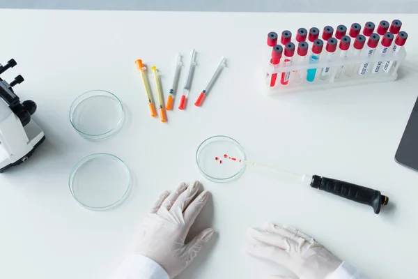 Cropped view of scientist hands in latex gloves near petri dishes and test tubes in lab — Stock Photo