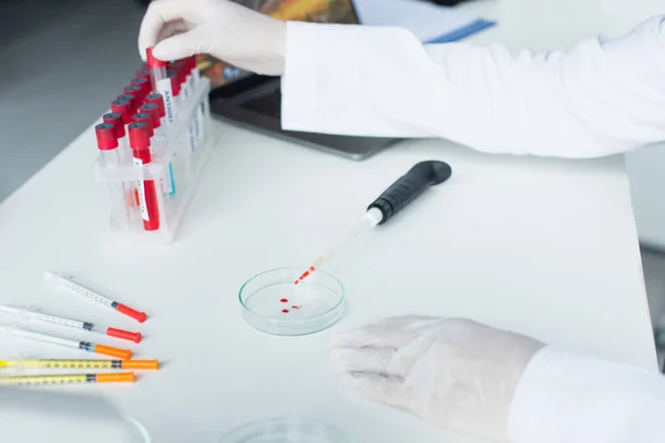 Cropped view of scientist taking test tube near petri dish and pipette in lab - foto de stock