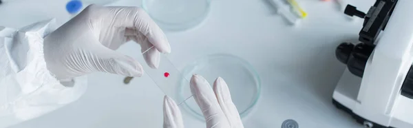 Cropped view of scientist holding glass near microscope and petri dishes, banner - foto de stock