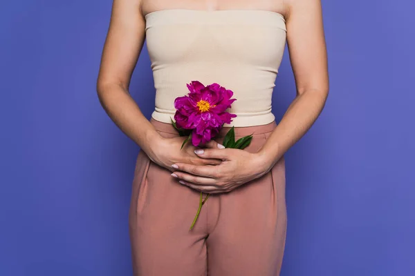 Abgeschnittene Ansicht von Frau mit blühender Blume isoliert auf lila, Menopause-Konzept — Stockfoto