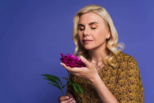 Blonde woman in blouse smelling purple flower with green leaves isolated on violet — Stock Photo