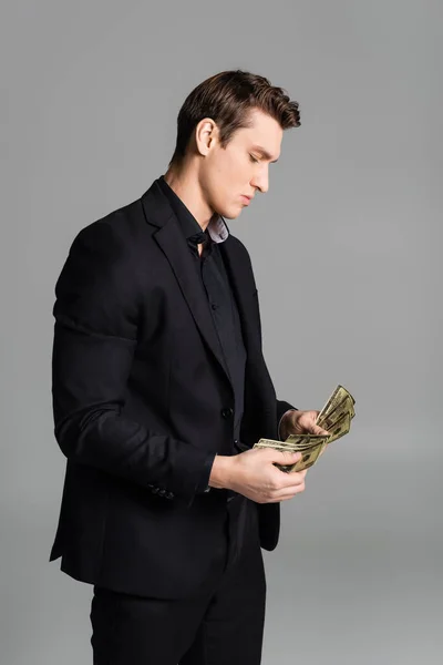 Man in black suit counting dollars isolated on grey - foto de stock