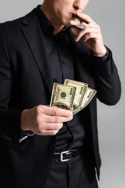 Partial view of blurred man smoking cigar while holding currency isolated on grey - foto de stock