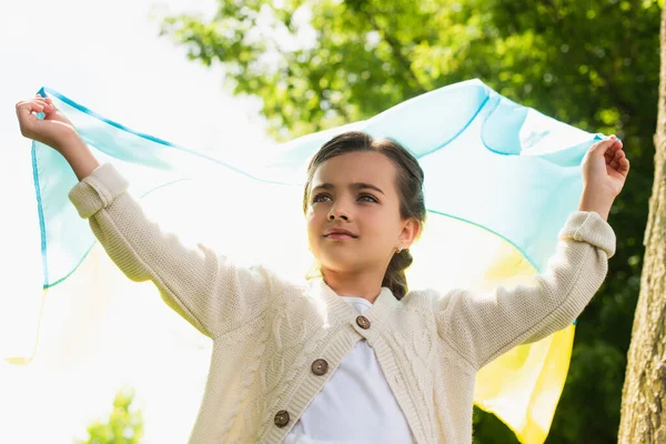 Low angle view of girl with ukrainian flag looking away outdoors — Foto stock